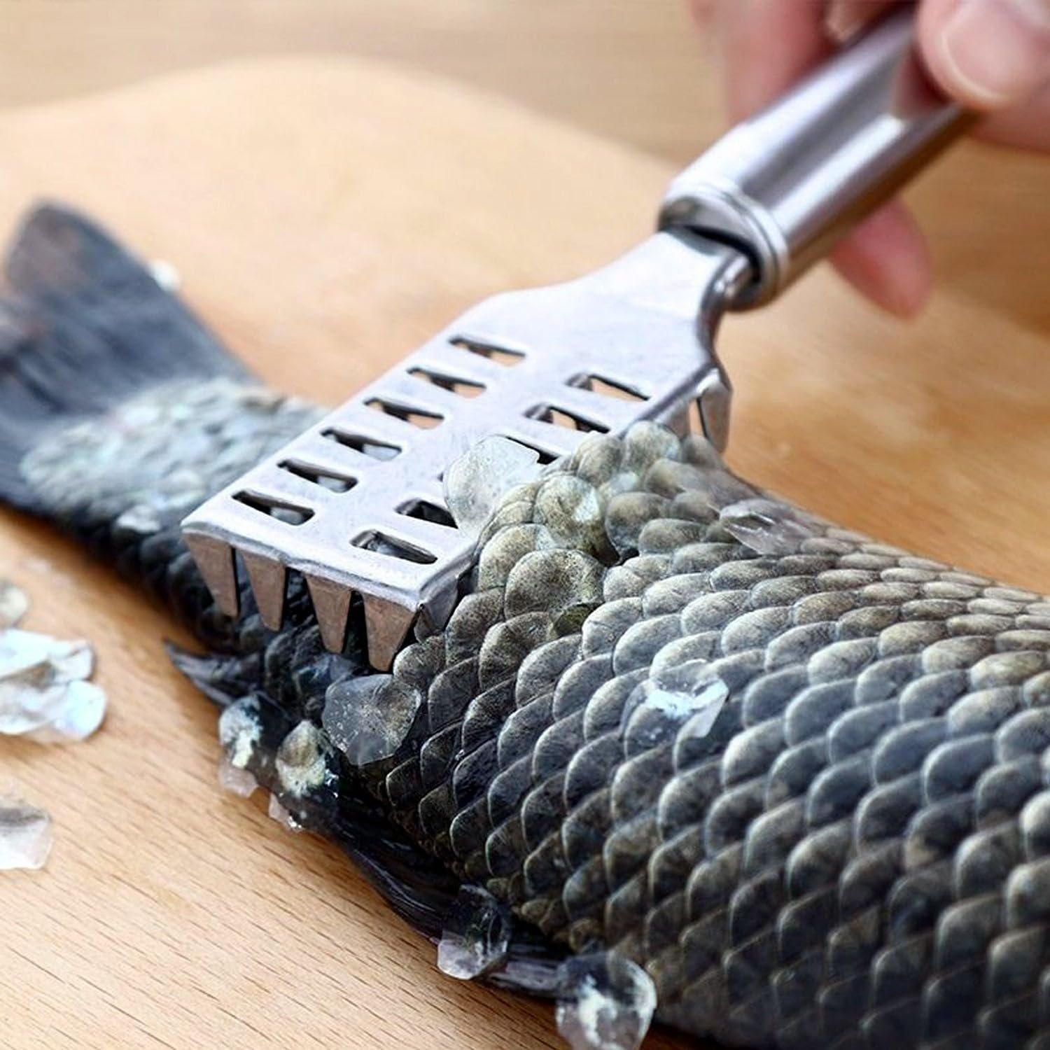 Fish Scale Remover - Stainless Steel Fish Scaler Tool for Easy, Mess-Free Scaling | Ergonomic Handle, Durable, Easy to Clean